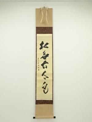前大徳　藤井誡堂筆　「松無古今色」一行書　肉筆紙本掛軸（共箱）